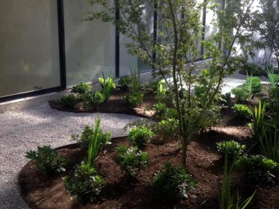 Jardin interior - oficinas LAW - Las Condes